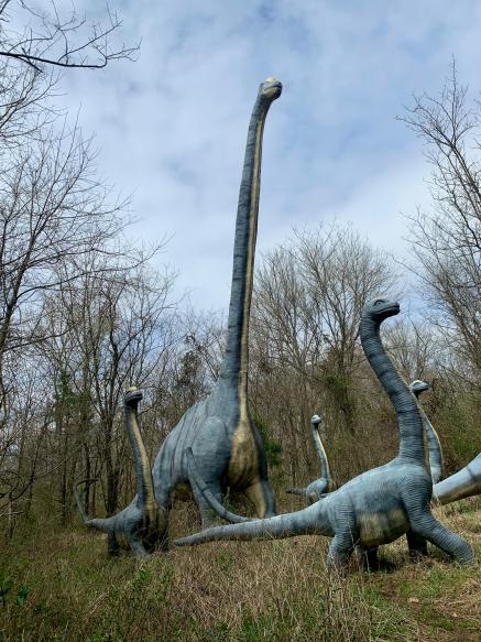Outdoor dinosaur statues.