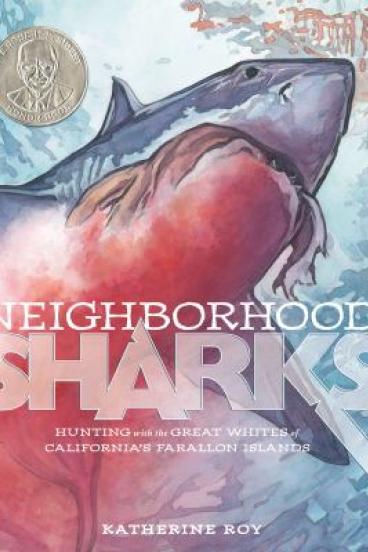 Neighborhood Sharks: hunting with the great whites of California's Farallon Islands by Katherine Roy