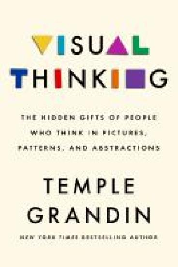 Book cover for Visual Thinking, featuring the title on a cream background with various of the letters filled in with blocks of bright color
