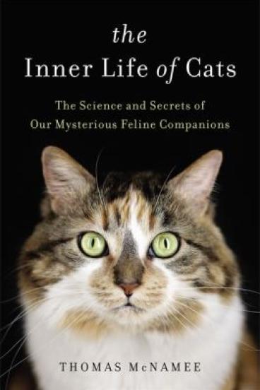The Inner Life of Cats by Thomas McNamee