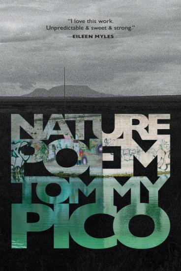 Book Cover for Nature Poem, featuring the title in block letters against a grayscale feild and sky, with graffiti filling the letters