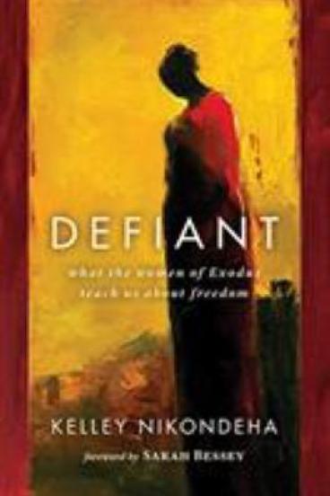 Defiant by Kelley Nikondeha