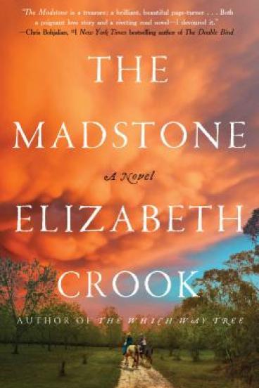 Madstone by Elizabeth Crook