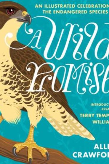 A Wild Promis by Allen Crawford