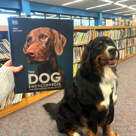 Patron the Dog and the Dog Encyclopedia