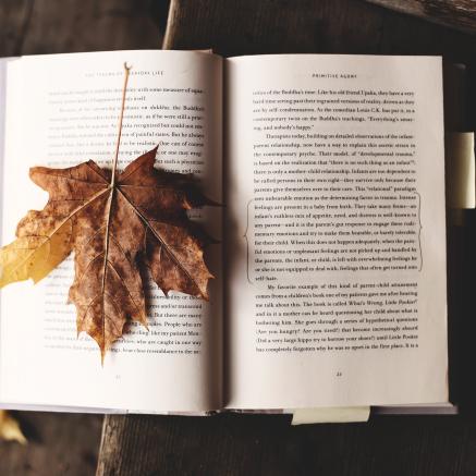 An open book with a leaf
