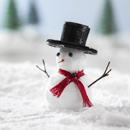 Tiny Snowman Craft