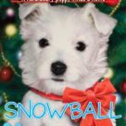 book cover of Snowball by Ellen Miles