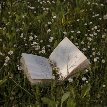 Open book in a green field of flowers
