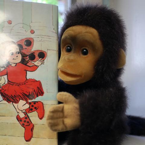 Hans the Monkey makes regular reading recommendations. 