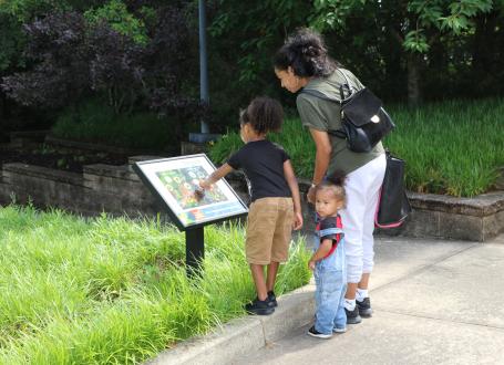 Enjoy nature and a story with StoryWalk