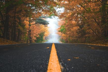 Autumn road with colorful leaves and a misty horizon