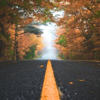 Autumn road with colorful leaves and a misty horizon