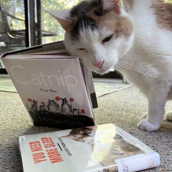 A cat pushes her head against a book entitled "Catnip"