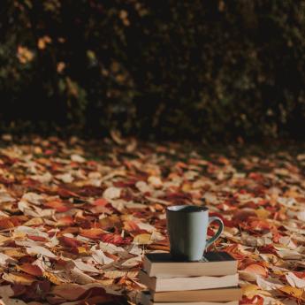 vertical photo of a book outside in fall, on a pile of brown and red leaves
