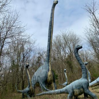 Outdoor dinosaur statues.